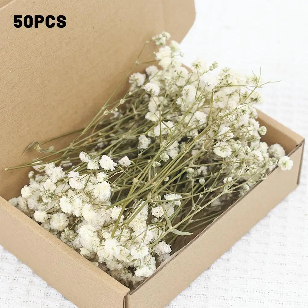 50pcs Dried Baby’s Breath Gypsophila Bouquets – Natural Wedding Decor