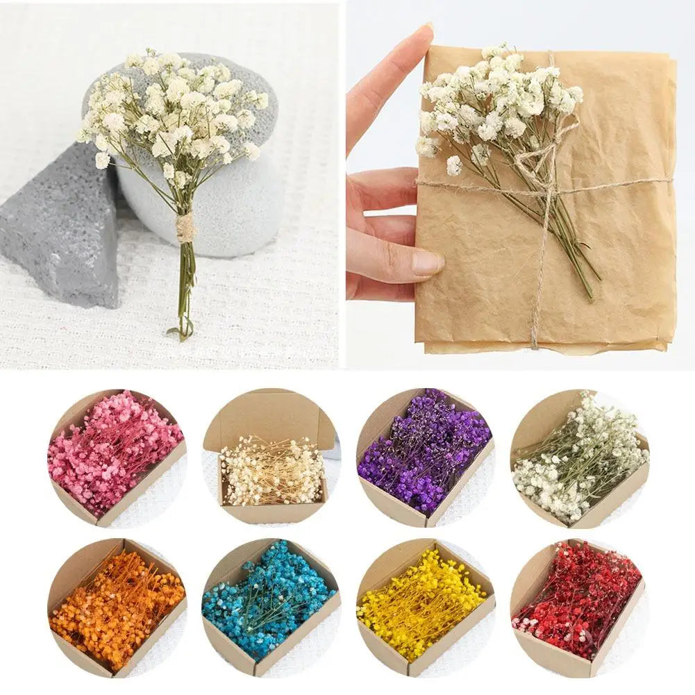 50pcs Dried Baby’s Breath Gypsophila Bouquets – Natural Wedding Decor