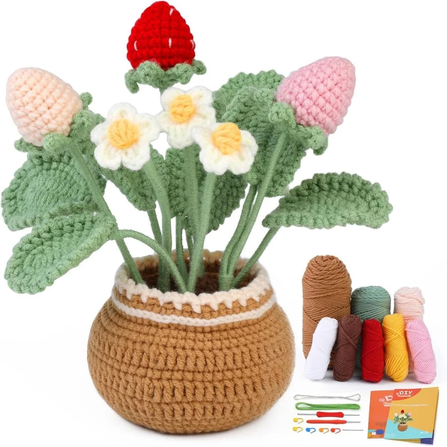 Beginner Crochet Kit – Flower Potted Plants