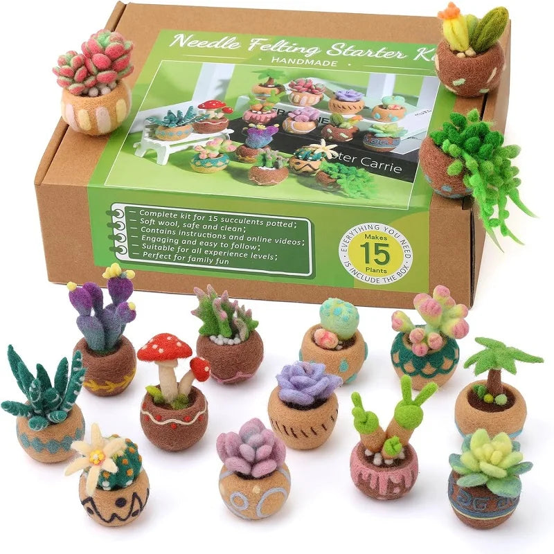 KRABALL Succulent Needle Felting Kit for Beginners – DIY Wool Craft Set